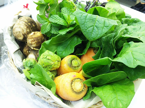 伊豆かかりつけ農家の野菜